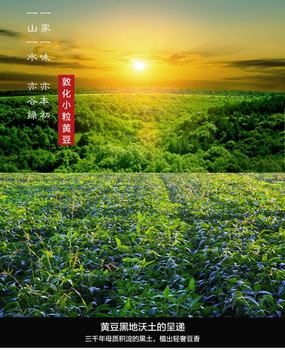 敦化市华力对外经贸有限责任公司.jpg