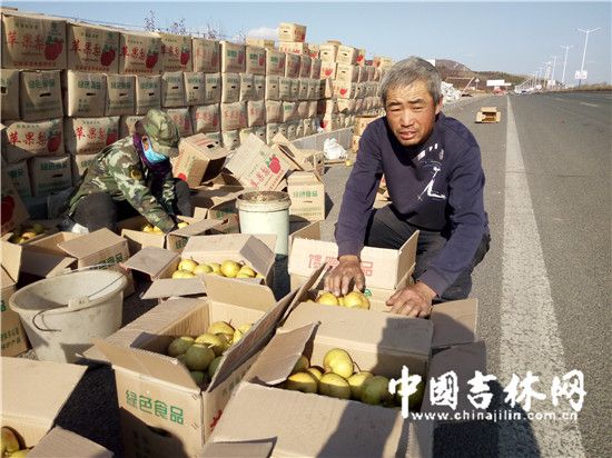 延边苹果梨遭遇销售难 果农苦不堪言