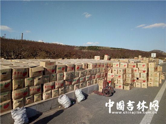 延边苹果梨遭遇销售难 果农苦不堪言