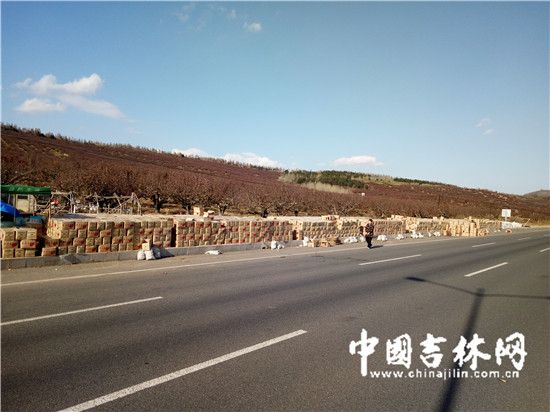 延边苹果梨遭遇销售难 果农苦不堪言