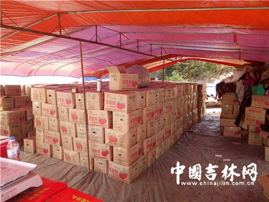 延边苹果梨遭遇销售难 果农苦不堪言