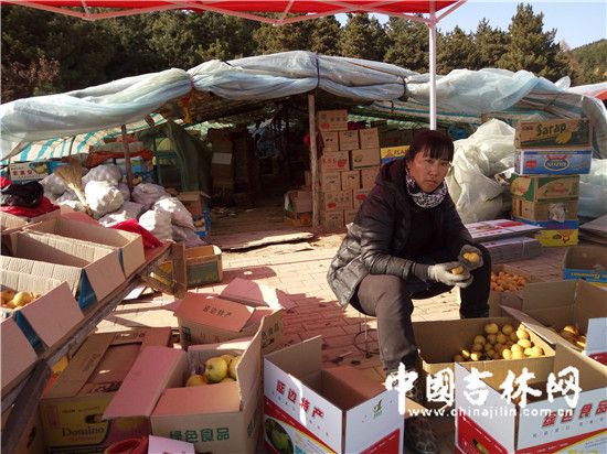 延边苹果梨遭遇销售难 果农苦不堪言