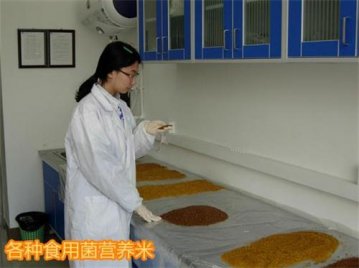 延边州人民政府与吉林农业大学科研成果战略合作项目－－食用